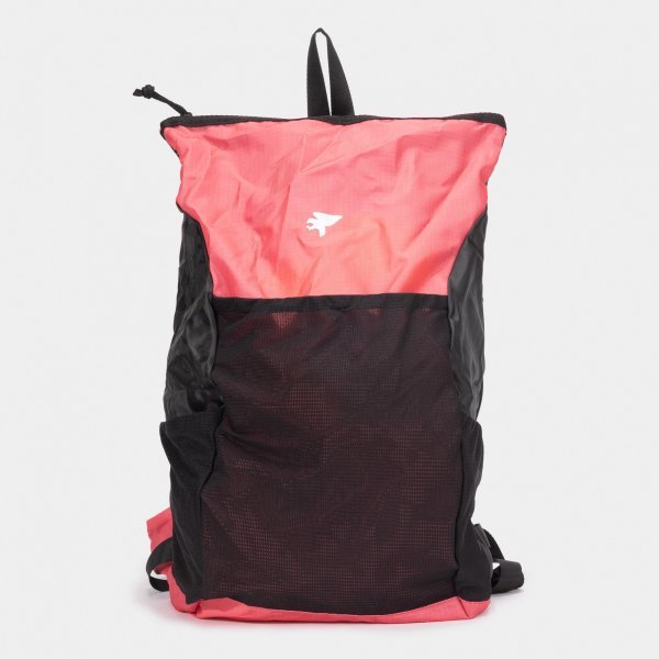 EXPLORER V BACKPACK PINK