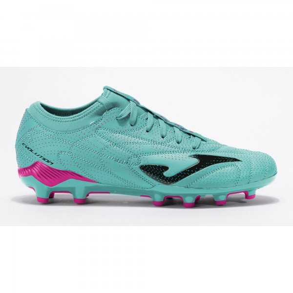 EVOLUTION 2617 PETROLEUM FIRM GROUND