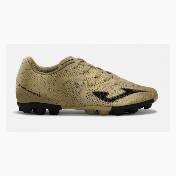 EVOLUTION JR 2617 PETROLEUM HARD GROUND