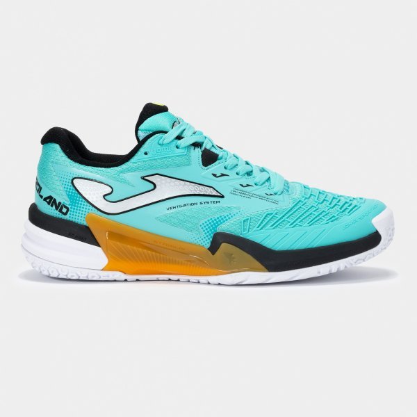 ROLAND MEN 2527 PETROLEUM